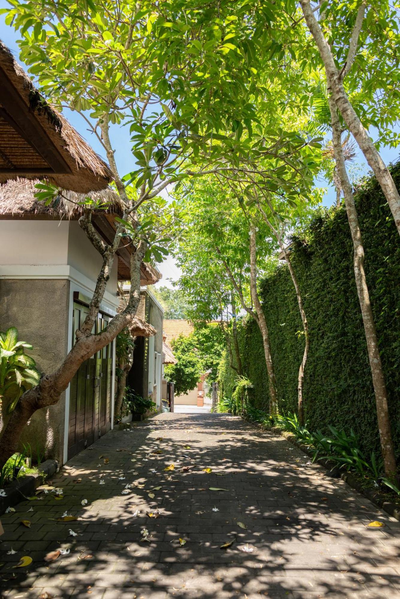 Bali Ula *